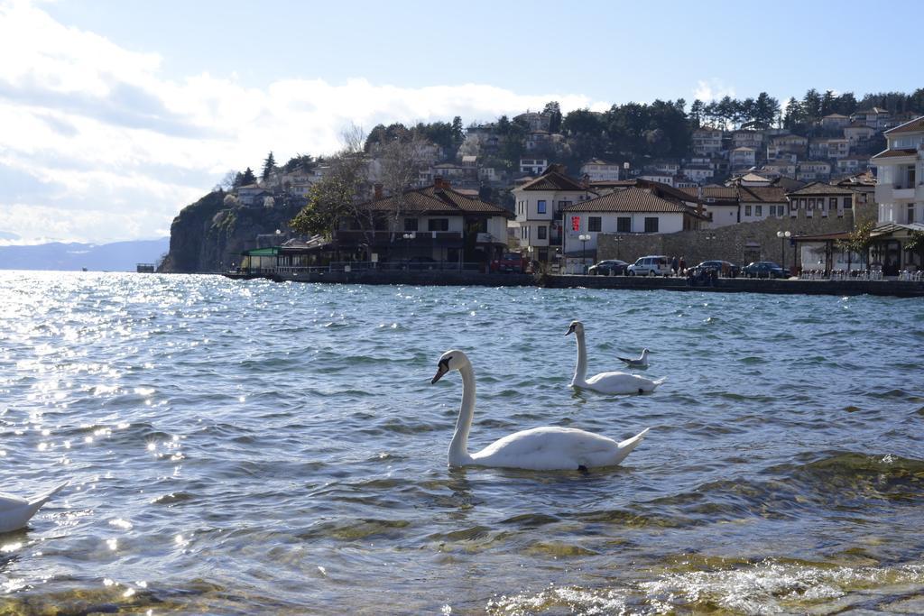 Marina Apartments Ochryda Zewnętrze zdjęcie